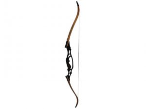 hoyt recurve bow